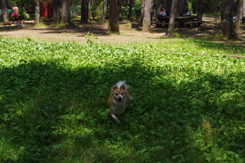a0191121_05298.jpg