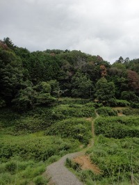 c0189724_14344714.jpg