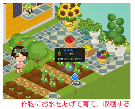 ピグも我が家も夏野菜 1 そらたび