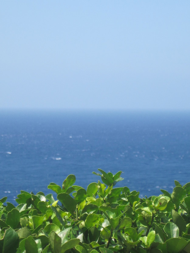 e0131324_23273121.jpg