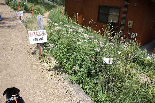 2011夏休み旅行～富士見パノラマ編～_e0162524_1952667.jpg