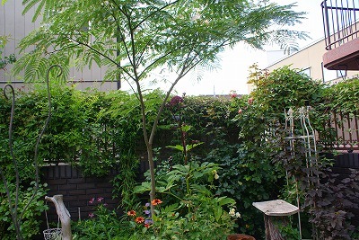f0170524_1522845.jpg
