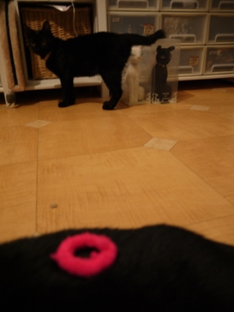 ピンクまる猫 ろった編。_a0143140_23234856.jpg