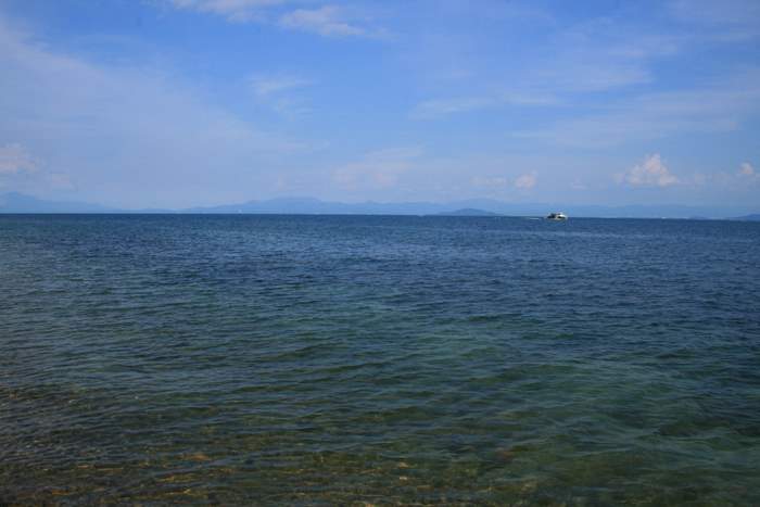 b0168840_223626.jpg