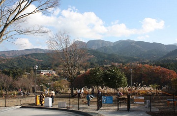 d0169340_135744.jpg