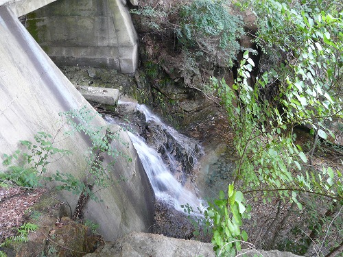 c0096941_79554.jpg