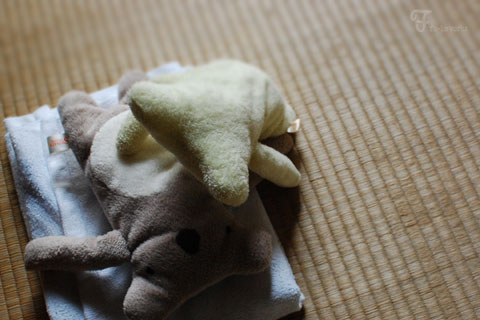 お盆帰省~2日目_d0227246_1152060.jpg