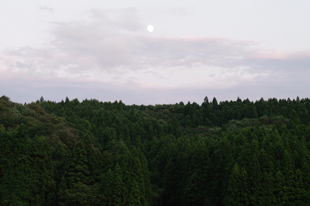 e0100152_90295.jpg
