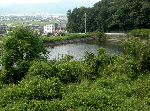 　　田舎にて_b0093754_23343283.jpg