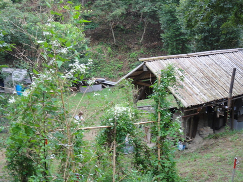 c0108460_19464029.jpg