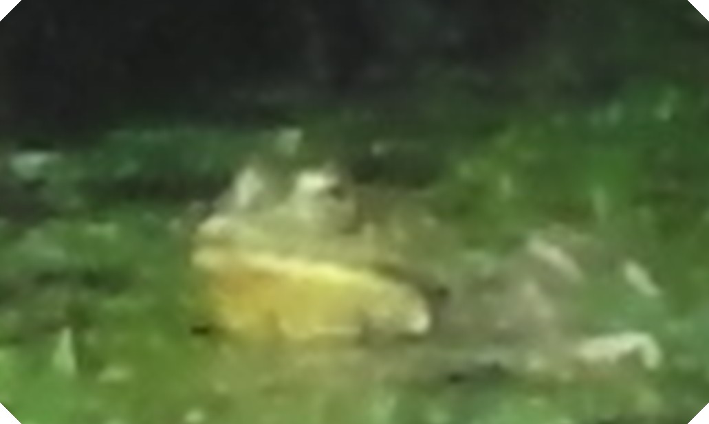 c0108460_19502246.jpg
