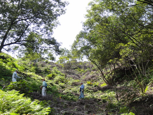 c0108460_19514077.jpg