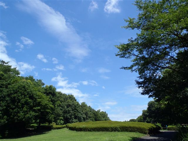 f0222161_21295354.jpg