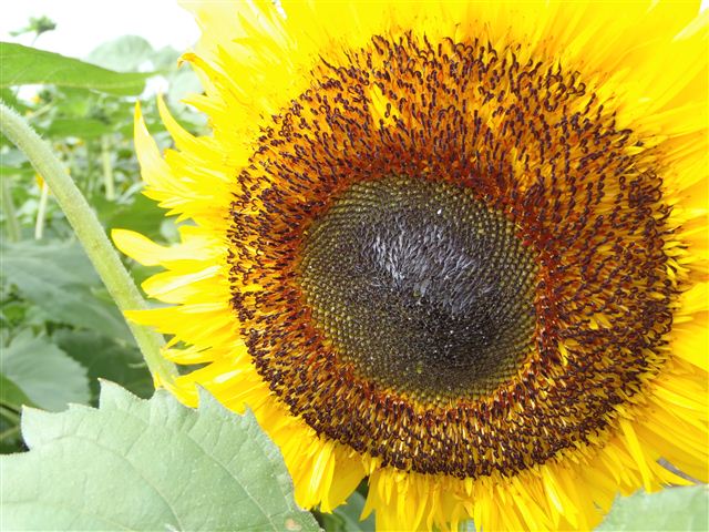 f0222161_21301621.jpg
