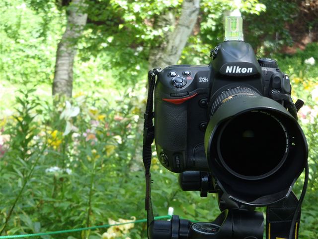 f0222161_21302174.jpg