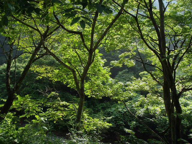 f0222161_2130766.jpg