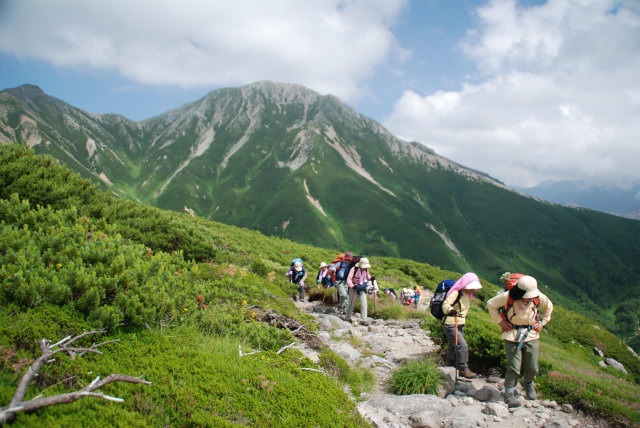 d0110562_11583147.jpg