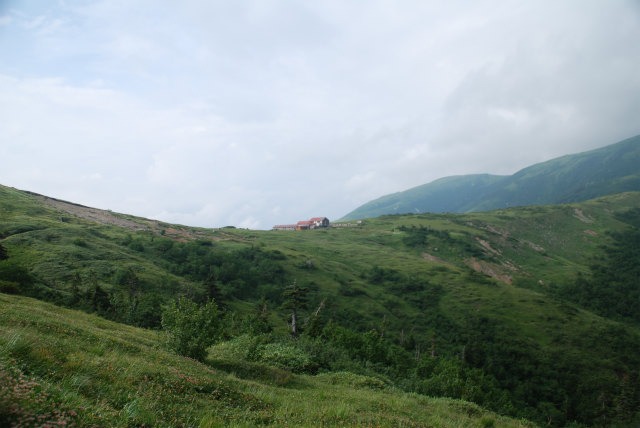 d0110562_12105483.jpg