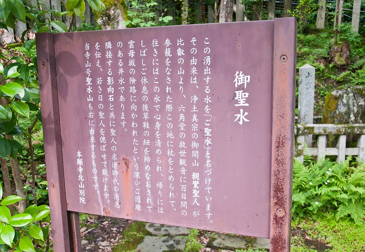 e0209962_13532.jpg