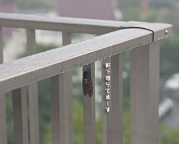 軒を貸す_a0119470_23504385.jpg