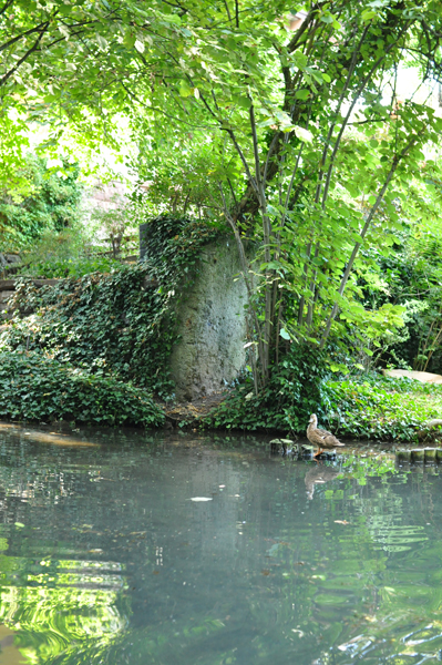 c0209272_622863.jpg