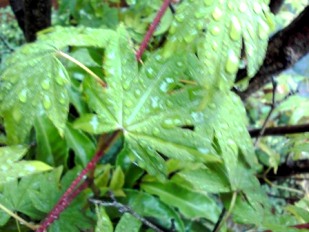 b0134673_188495.jpg