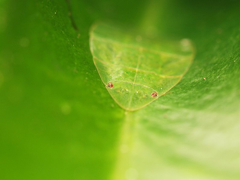 b0135573_22373875.jpg