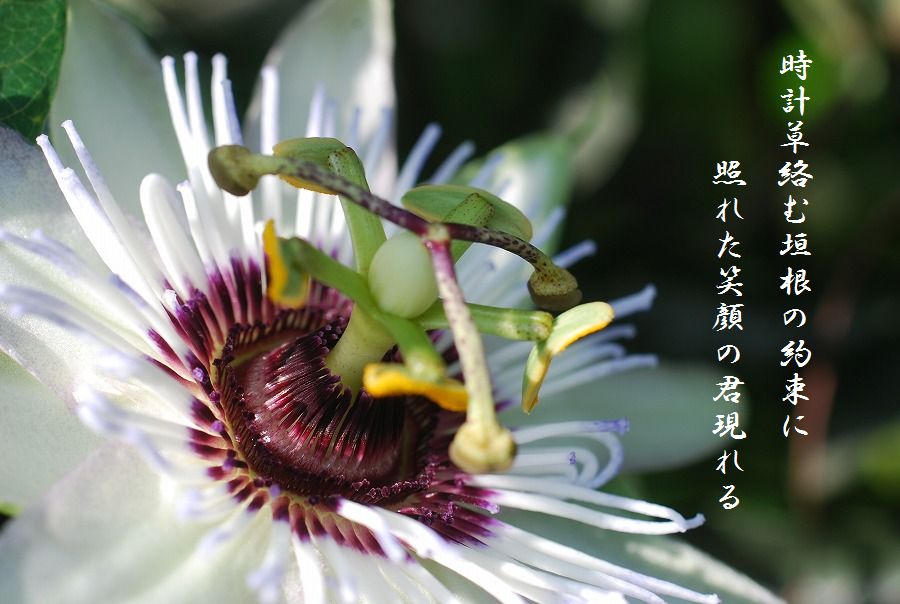 c0187781_0202673.jpg