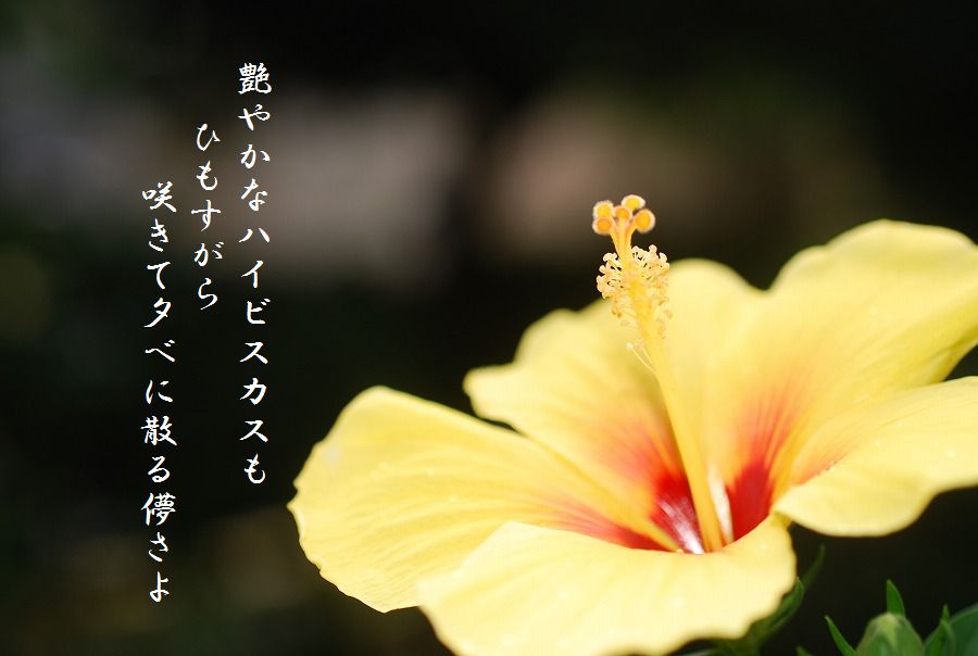 c0187781_0224117.jpg