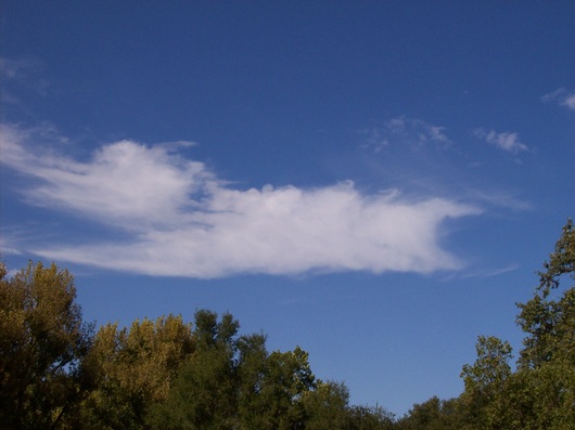 a0194886_13325528.jpg