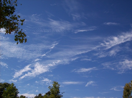a0194886_13332279.jpg
