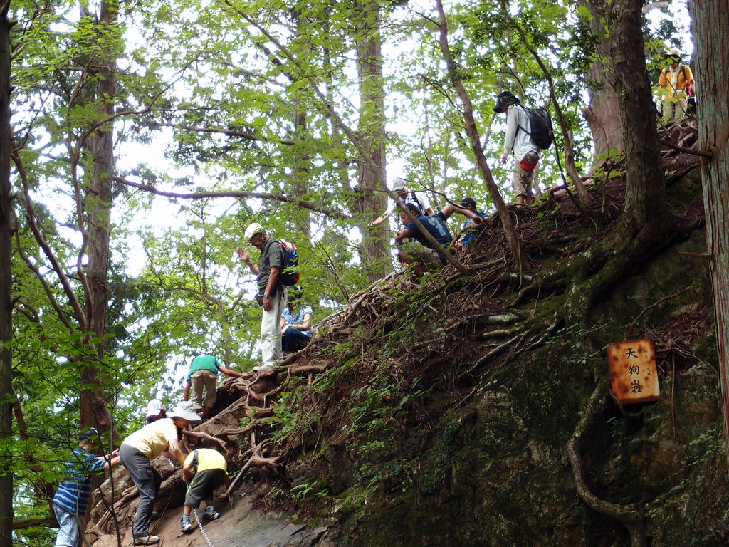 スミナガシ（墨流し）との出会い～御岳山　山歩き♪　Ⅳ_e0195587_19452978.jpg