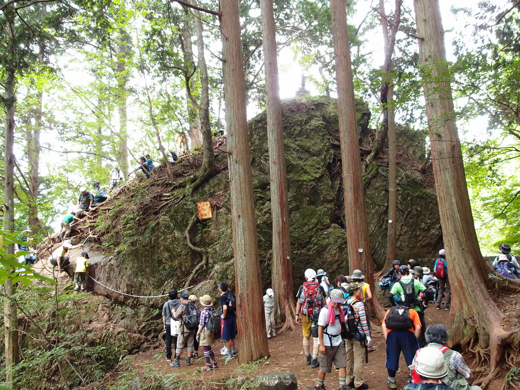 スミナガシ（墨流し）との出会い～御岳山　山歩き♪　Ⅳ_e0195587_19494221.jpg