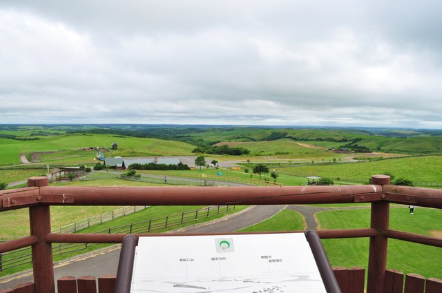 北海道キャンプ⑪ オーチャードグラス_a0126590_13182228.jpg