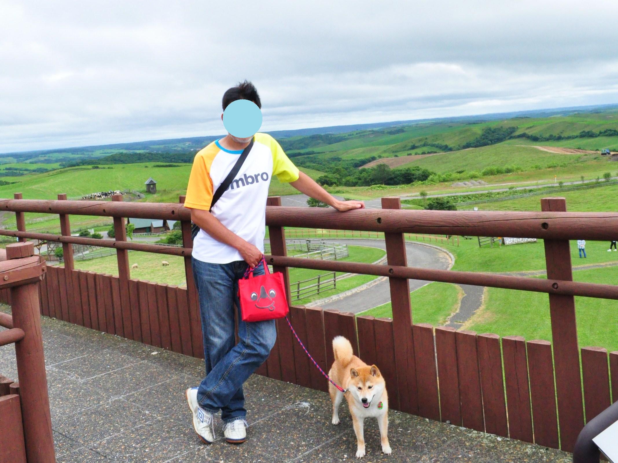 北海道キャンプ⑪ オーチャードグラス_a0126590_13241374.jpg