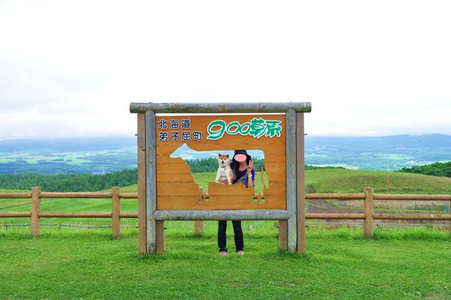 北海道キャンプ⑪ オーチャードグラス_a0126590_13404678.jpg