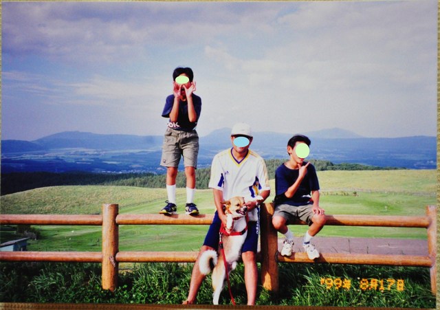 北海道キャンプ⑪ オーチャードグラス_a0126590_13503668.jpg