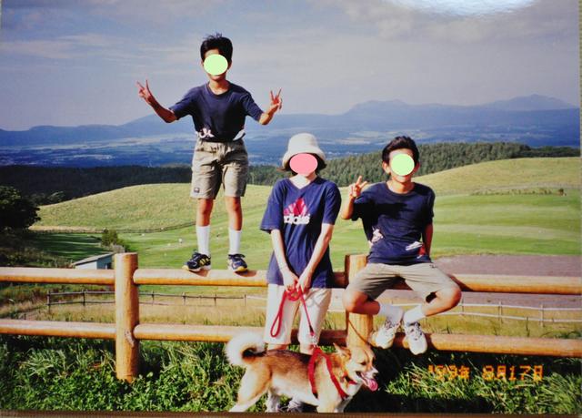 北海道キャンプ⑪ オーチャードグラス_a0126590_1354328.jpg