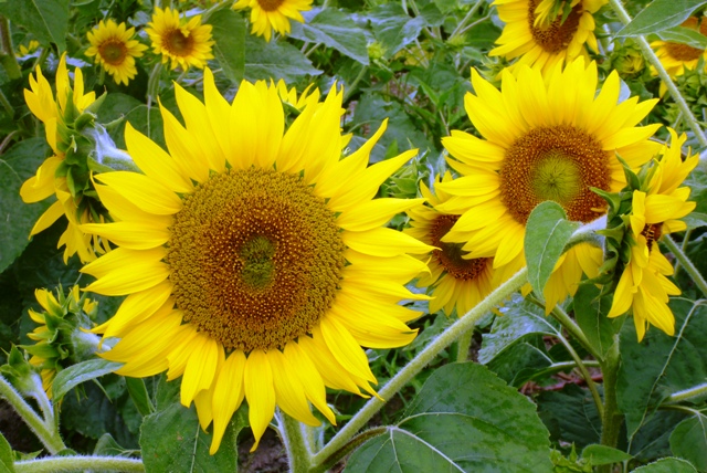 a0127090_20275084.jpg