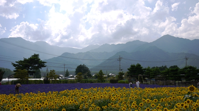 a0127090_20292137.jpg