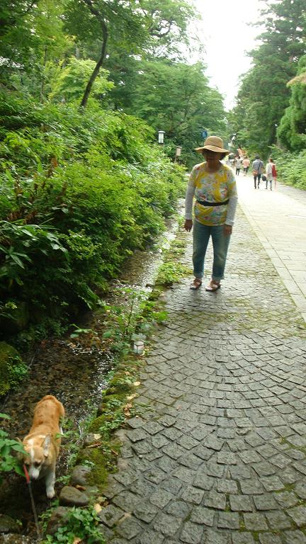 f0075595_2355483.jpg