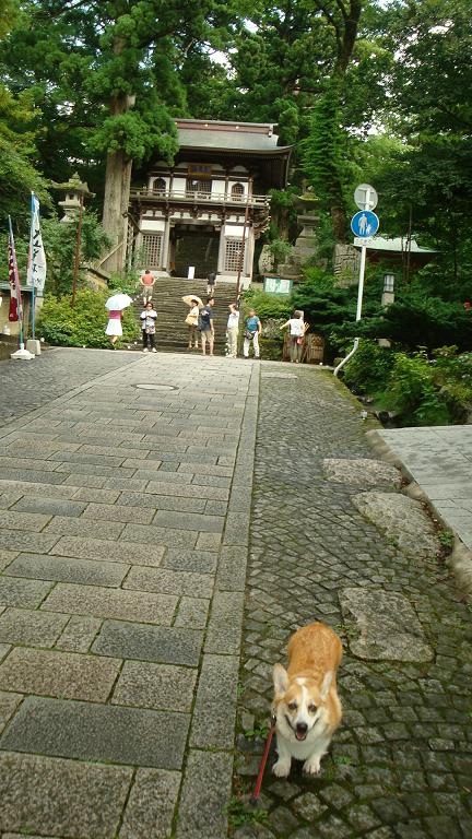 f0075595_23564643.jpg