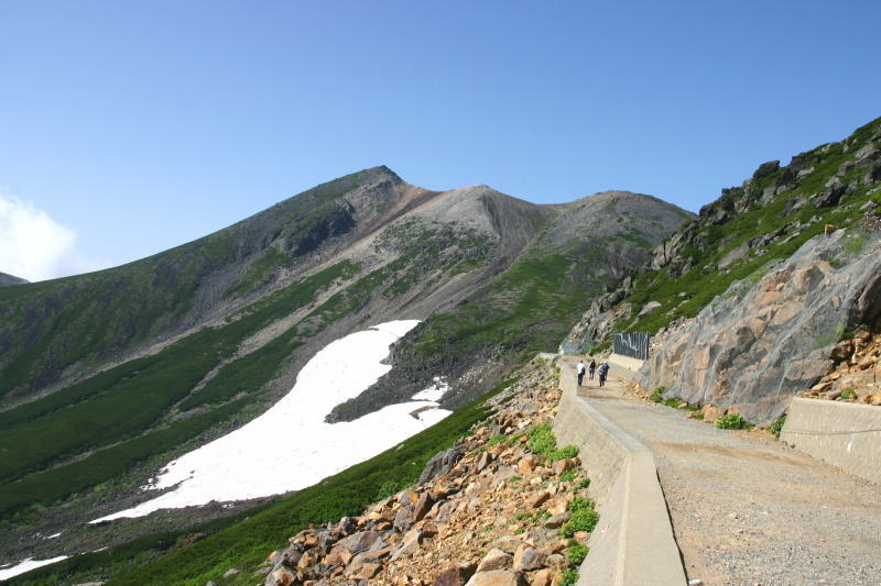 c0133096_8491978.jpg