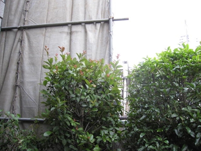 b0186899_21363361.jpg
