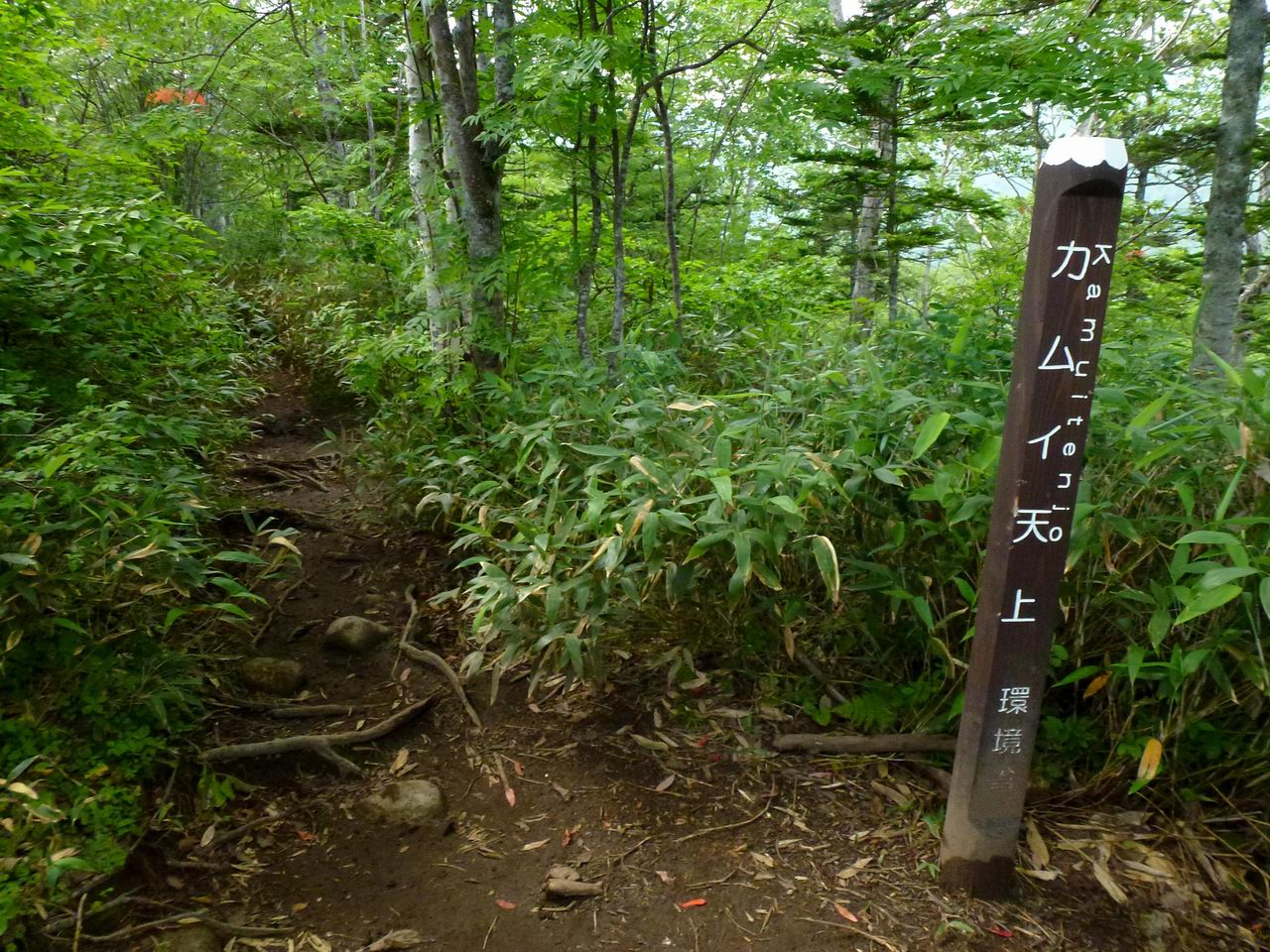 大雪山からトムラウシ山縦走（3日目）ヒサゴ沼避難小屋からトムラウシ温泉へ_e0110500_18184671.jpg