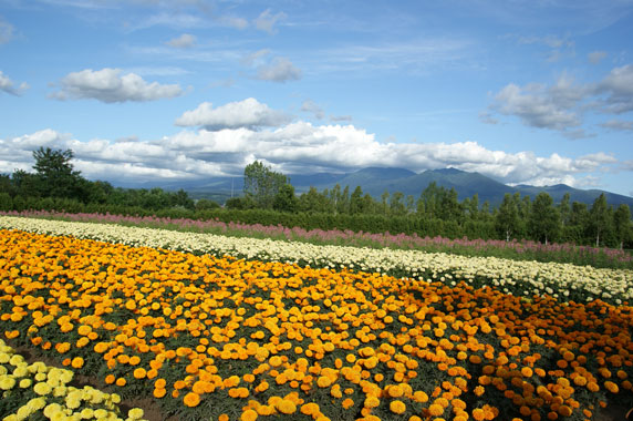 f0036603_1330654.jpg