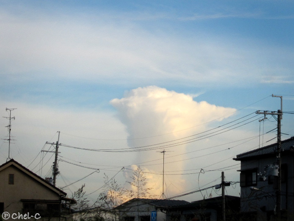a0154706_8321814.jpg