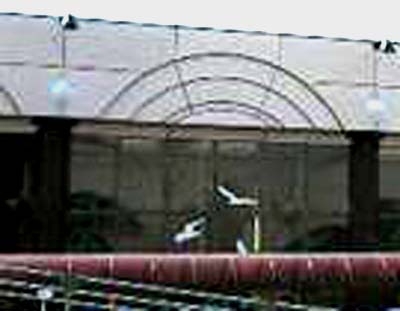 e0103408_13305862.jpg