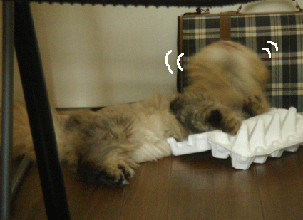 e0157129_18515125.gif