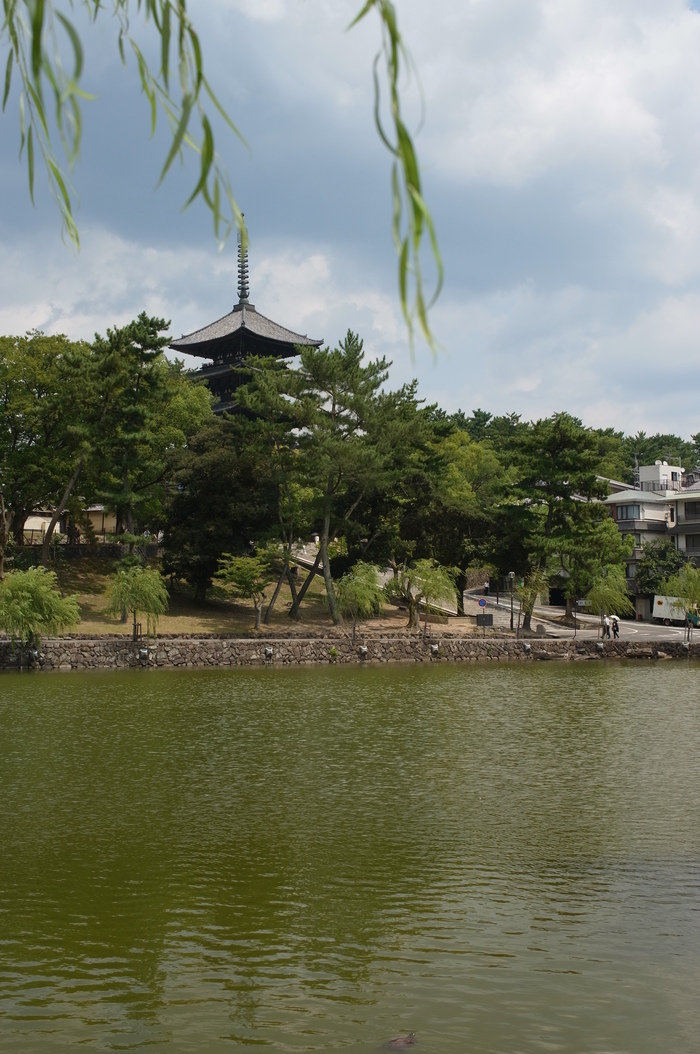b0201230_14171727.jpg